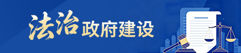 法治政府建设