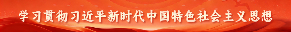 学习贯彻习近平新时代中国特色社会主义思想